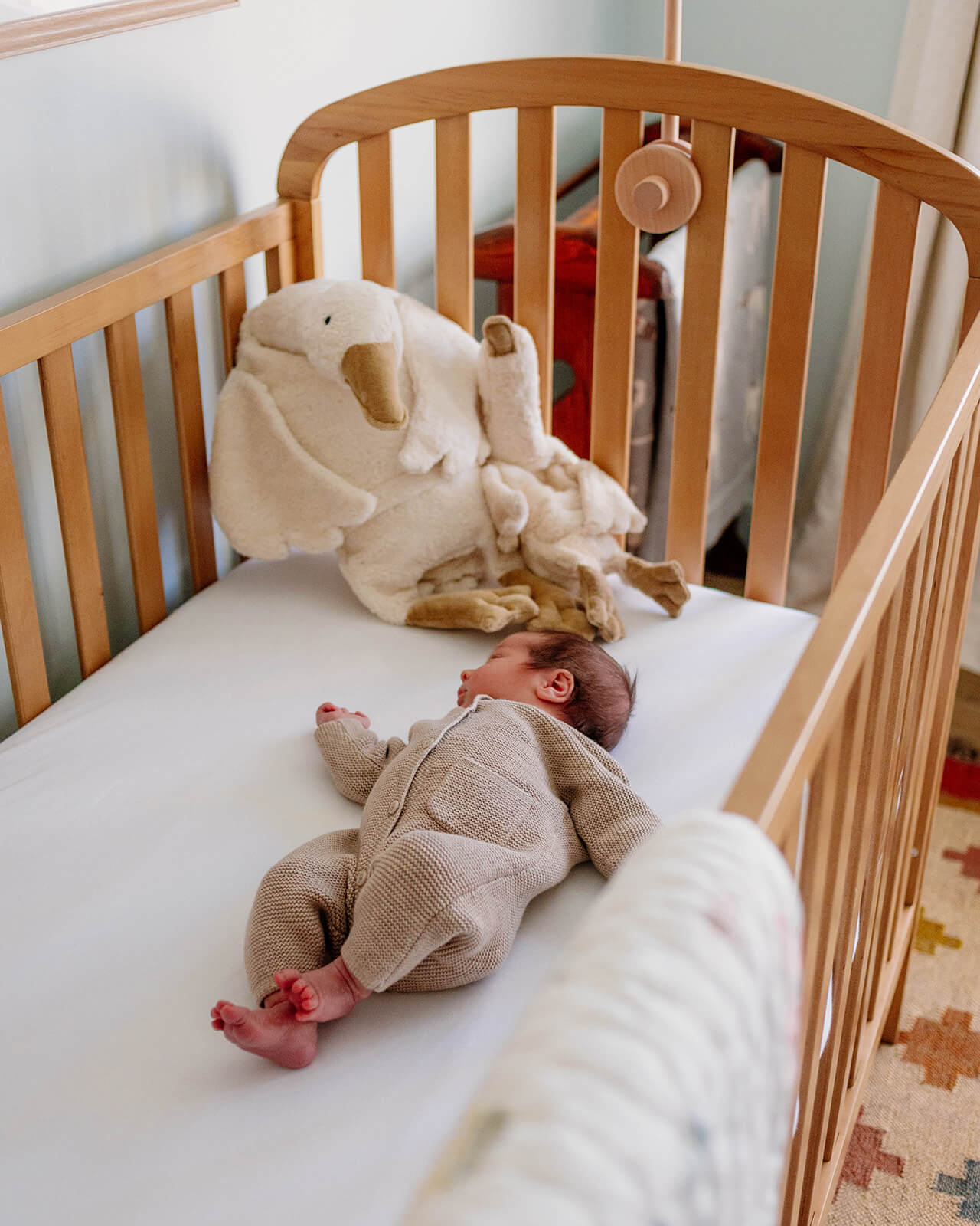 Newborn