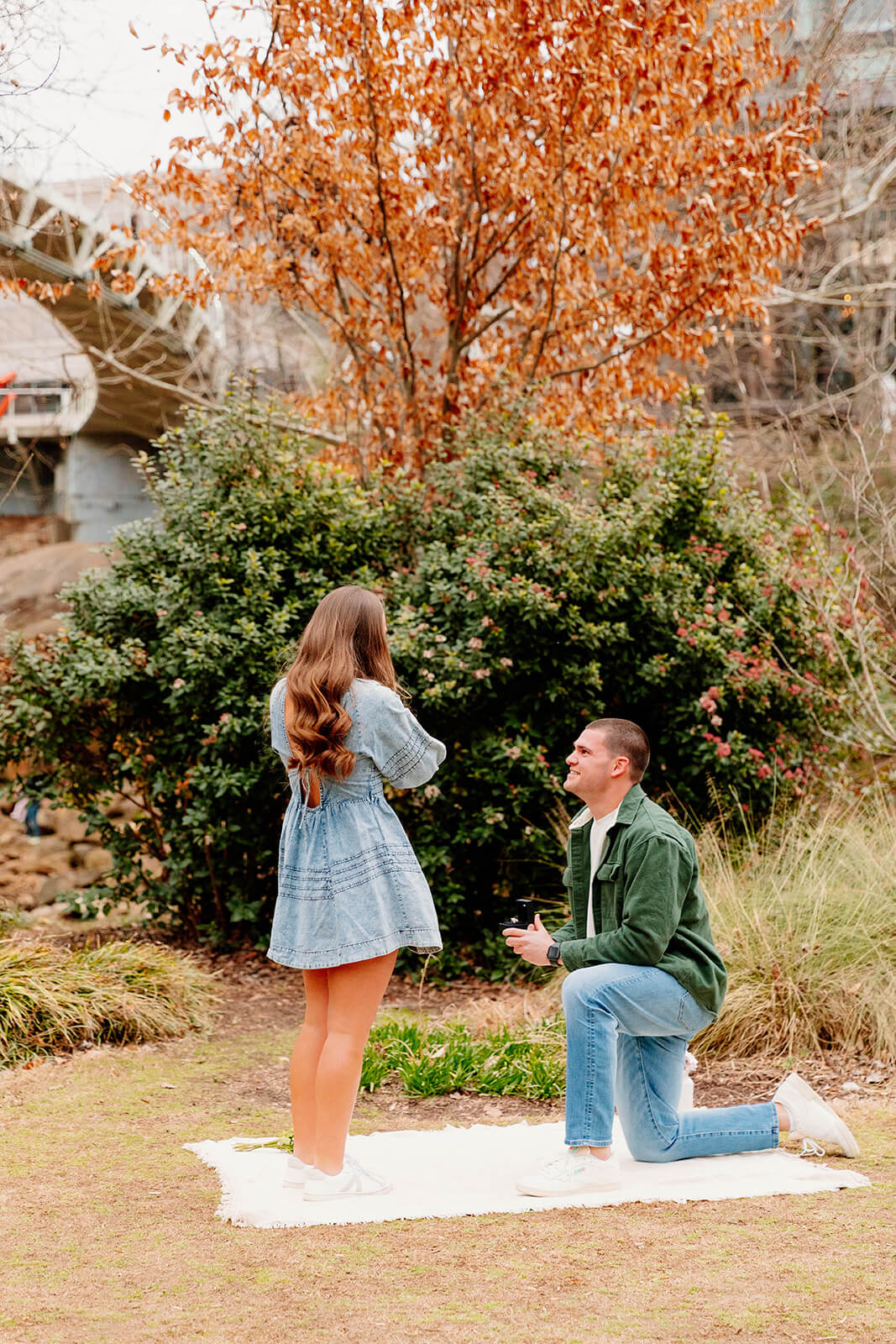 Proposal